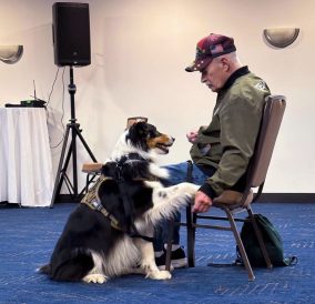 article image - vet1